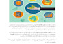 write SEO optimized arabic articles or blog posts in bulk for your website